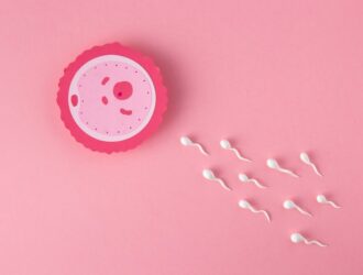 fertilité